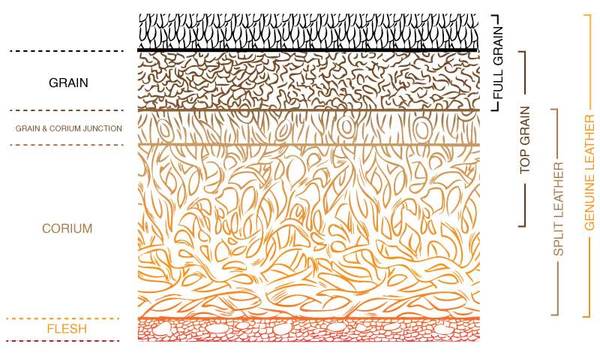 graph of the layers that make up leather